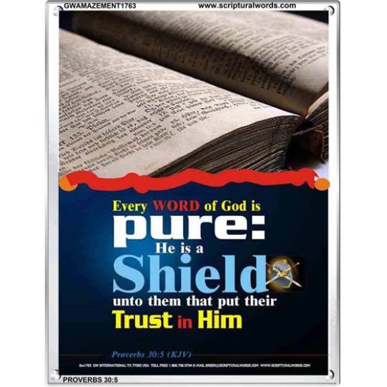 TRUST IN HIM   Scripture Art Frame   (GWAMAZEMENT1763)   