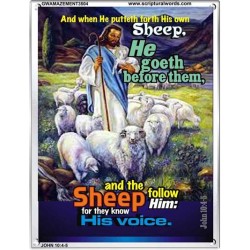 THEY KNOW HIS VOICE   Contemporary Christian Poster   (GWAMAZEMENT3504)   