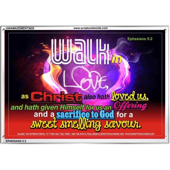 WALK IN CHRIST   Framed Scripture Dcor   (GWAMAZEMENT3620)   