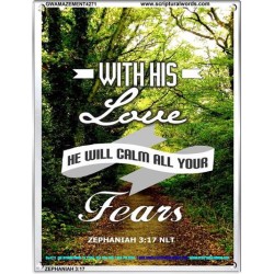 WILL CALM ALL YOUR FEARS   Christian Frame Art   (GWAMAZEMENT4271)   "24X32"