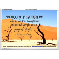 WORDLY SORROW   Custom Frame Scriptural ArtWork   (GWAMAZEMENT4390)   "24X32"