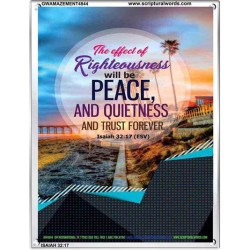 TRUST FOREVER   Frame Bible Verse   (GWAMAZEMENT4844)   "24X32"