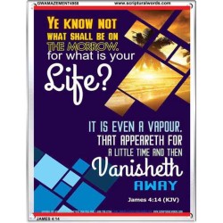 WHAT IS YOUR LIFE   Framed Bible Verses   (GWAMAZEMENT4958)   "24X32"