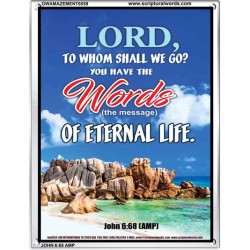 WORDS OF ETERNAL LIFE   Biblical Art Acrylic Glass Frame    (GWAMAZEMENT6559)   "24X32"
