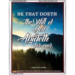 THE WILL OF GOD   Framed Picture   (GWAMAZEMENT6567)   