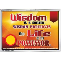 WISDOM   Framed Bible Verse   (GWAMAZEMENT6782)   "24X32"
