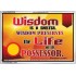 WISDOM   Framed Bible Verse   (GWAMAZEMENT6782)   "24X32"