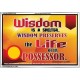 WISDOM   Framed Bible Verse   (GWAMAZEMENT6782)   
