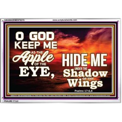 UNDER THE SHADOW OF THY WINGS   Frame Scriptural Wall Art   (GWAMAZEMENT8275)   "24X32"