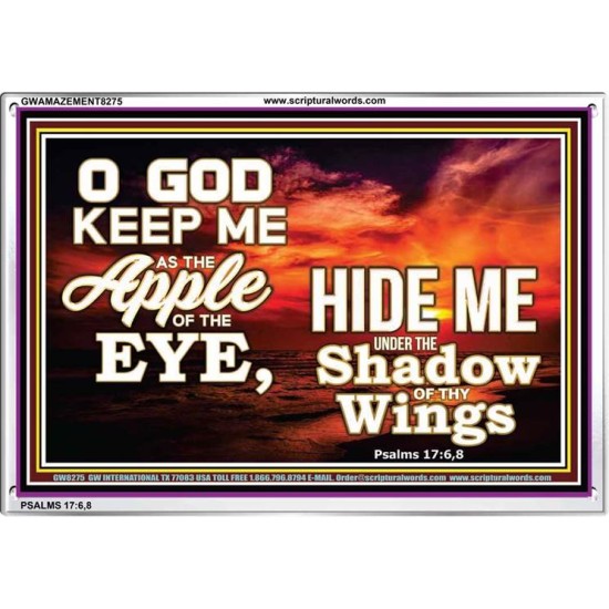 UNDER THE SHADOW OF THY WINGS   Frame Scriptural Wall Art   (GWAMAZEMENT8275)   