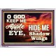 UNDER THE SHADOW OF THY WINGS   Frame Scriptural Wall Art   (GWAMAZEMENT8275)   