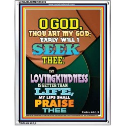 YOUR LOVING KINDNESS IS BETTER THAN LIFE   Biblical Paintings Acrylic Glass Frame   (GWAMAZEMENT9239)   "24X32"