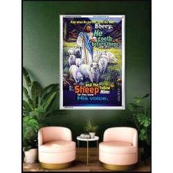 THEY KNOW HIS VOICE   Contemporary Christian Poster   (GWAMBASSADOR3504)   