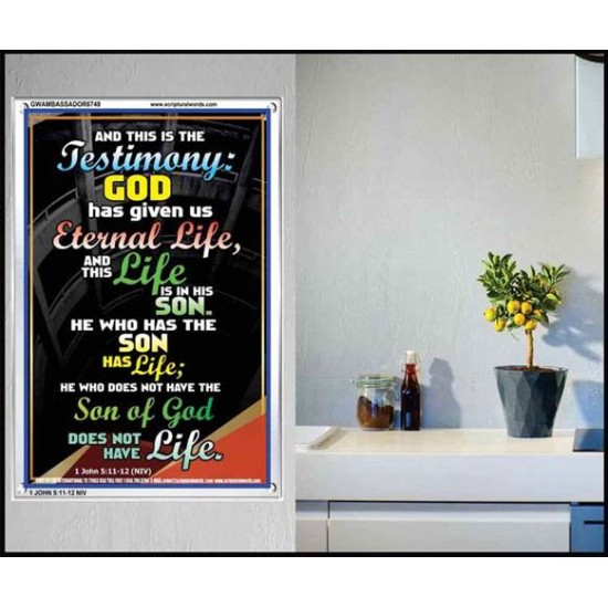 THE TESTIMONY GOD HAS GIVEN US   Christian Framed Wall Art   (GWAMBASSADOR6749)   
