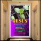 ALL THINGS ARE POSSIBLE   Modern Christian Wall Dcor Frame   (GWAMBASSADOR1751)   