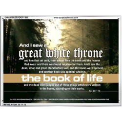 A GREAT WHITE THRONE   Inspirational Bible Verse Framed   (GWAMBASSADOR1515)   "48X32"