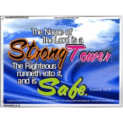 A STRONG TOWER   Encouraging Bible Verses Framed   (GWAMBASSADOR3529)   