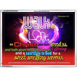 WALK IN CHRIST   Framed Scripture Dcor   (GWAMBASSADOR3620)   "48X32"