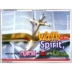 WALK IN THE SPIRIT   Framed Bible Verse   (GWAMBASSADOR3720)   "48X32"