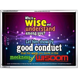 WISDOM   Scriptural Framed Signs   (GWAMBASSADOR3817)   "48X32"