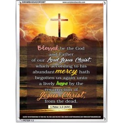 ABUNDANT MERCY   Christian Quote Framed   (GWAMBASSADOR3907)   