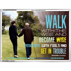 WALK WITH THE WISE   Custom Framed Bible Verses   (GWAMBASSADOR4294)   "48X32"