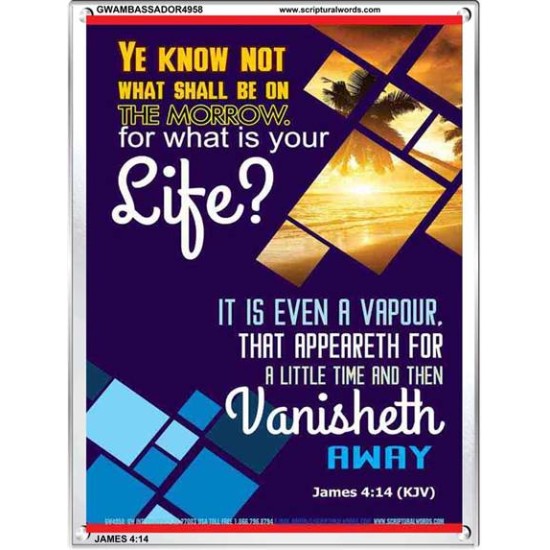 WHAT IS YOUR LIFE   Framed Bible Verses   (GWAMBASSADOR4958)   