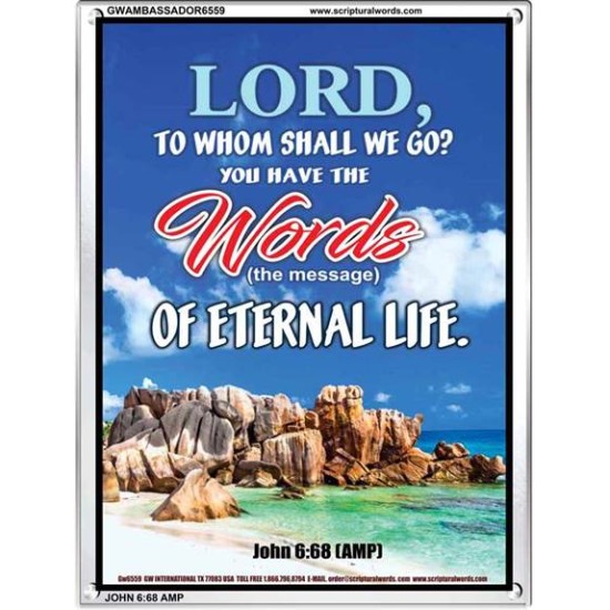 WORDS OF ETERNAL LIFE   Biblical Art Acrylic Glass Frame    (GWAMBASSADOR6559)   