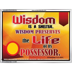 WISDOM   Framed Bible Verse   (GWAMBASSADOR6782)   "48X32"