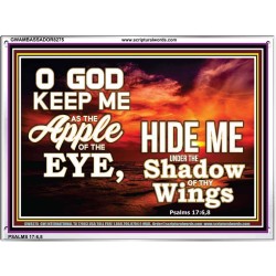 UNDER THE SHADOW OF THY WINGS   Frame Scriptural Wall Art   (GWAMBASSADOR8275)   "48X32"