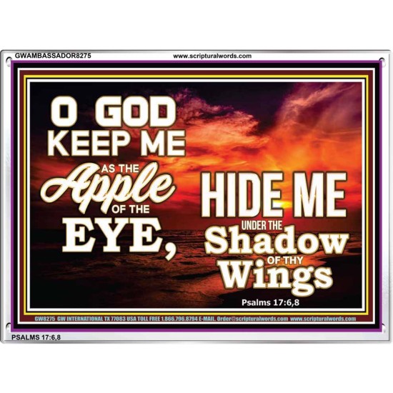 UNDER THE SHADOW OF THY WINGS   Frame Scriptural Wall Art   (GWAMBASSADOR8275)   