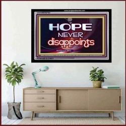 HOPE NEVER FAILS   Framed Lobby Wall Decoration   (GWAMEN6760)   