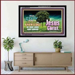 GROW IN GRACE   Inspirational Bible Verses Framed   (GWAMEN8325)   