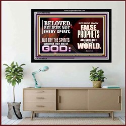 BELIEVE NOT EVERY SPIRIT   Large Frame Scripture Wall Art   (GWAMEN8490)   
