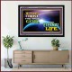 JESUS CHRIST THE TRUE GOD   Contemporary Christian Poster Framed   (GWAMEN8812L)   