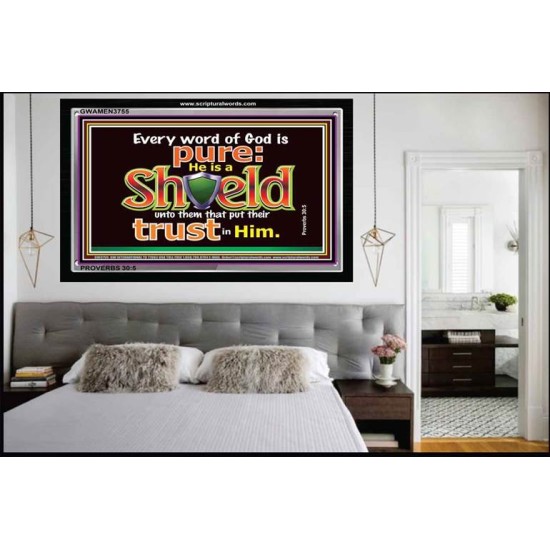 HE IS A SHIELD   Large Frame Scripture Wall Art   (GWAMEN3755)   