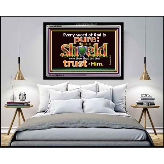 HE IS A SHIELD   Large Frame Scripture Wall Art   (GWAMEN3755)   