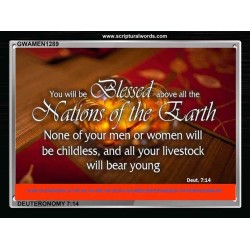 BLESSED ABOVE ALL NATIONS   Custom Contemporary Christian Wall Art   (GWAMEN1289)   