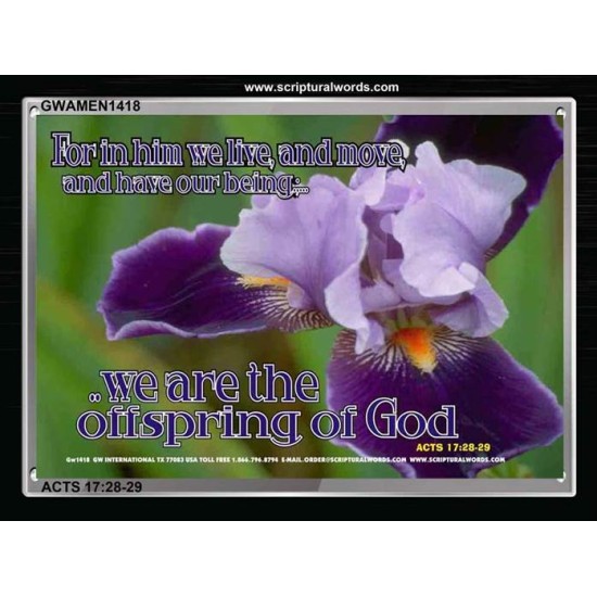 IN HIM WE LIVE   Custom Frame Inspiration Bible Verse   (GWAMEN1418)   