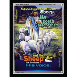 THEY KNOW HIS VOICE   Contemporary Christian Poster   (GWAMEN3504)   