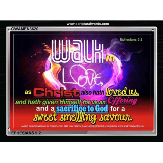 WALK IN CHRIST   Framed Scripture Dcor   (GWAMEN3620)   