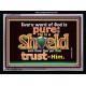 HE IS A SHIELD   Large Frame Scripture Wall Art   (GWAMEN3755)   