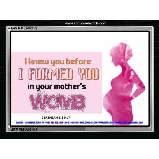 I FORMED YOU IN YOUR MOTHERS WOMB   Bible Verse Frame Online   (GWAMEN4259)   