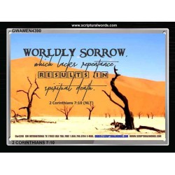 WORDLY SORROW   Custom Frame Scriptural ArtWork   (GWAMEN4390)   