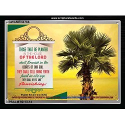 FLOURISH IN GODS HOUSE   Contemporary Christian Poster Framed   (GWAMEN4766)   