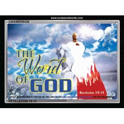 GODS WORD   Scriptural Portrait Wooden Frame   (GWAMEN5436)   