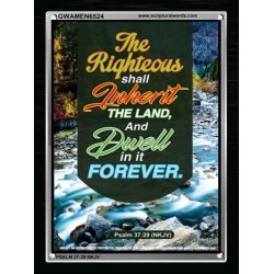 THE RIGHTEOUS SHALL INHERIT THE LAND   Contemporary Christian Poster   (GWAMEN6524)   