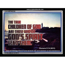 TRUE CHILDREN OF GOD   Christian Quote Framed   (GWAMEN6538)   "33X25"