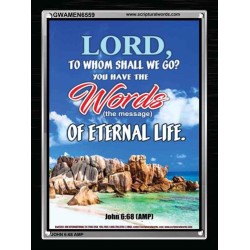 WORDS OF ETERNAL LIFE   Biblical Art Acrylic Glass Frame    (GWAMEN6559)   