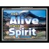 ALIVE BY THE SPIRIT   Framed Guest Room Wall Decoration   (GWAMEN6736)   "33X25"